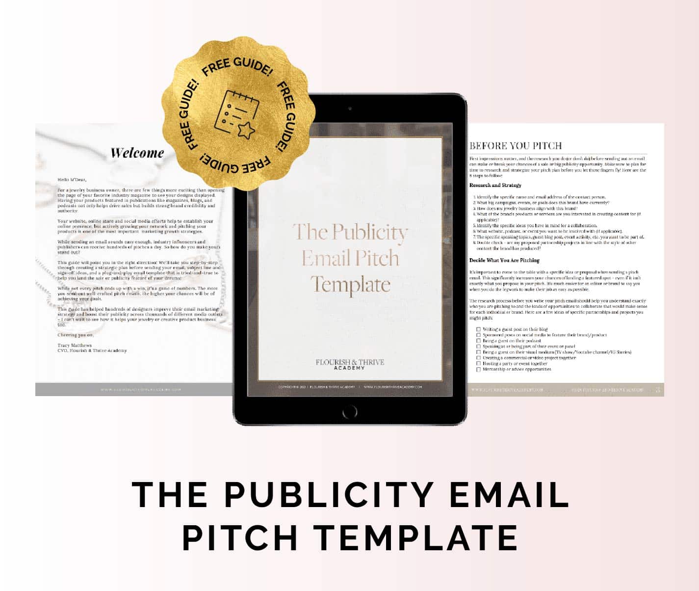 F&T - Freebies Icons - All Lead Magnets_V02_Icon 04 - Publicity Email Pitch Template(version 2)